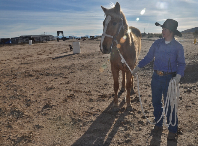 horse trainer with horse  on her ranch